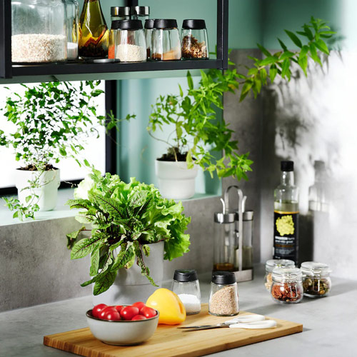 ادویه پاش شیشه ای مدل IHARDIG ایکیا