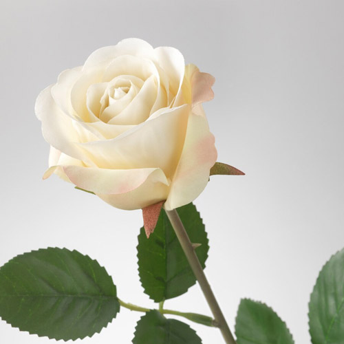 شاخه گل مصنوعی رز سفید مدل SMYCKA ایکیا