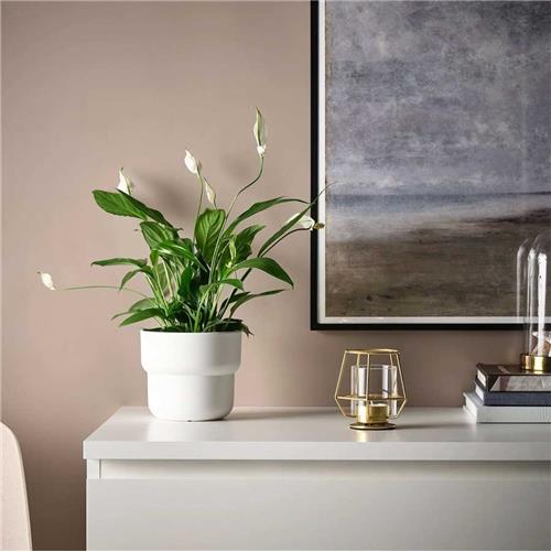 جاشمع فانوس کوچک ایکیا مدل PARLBAND